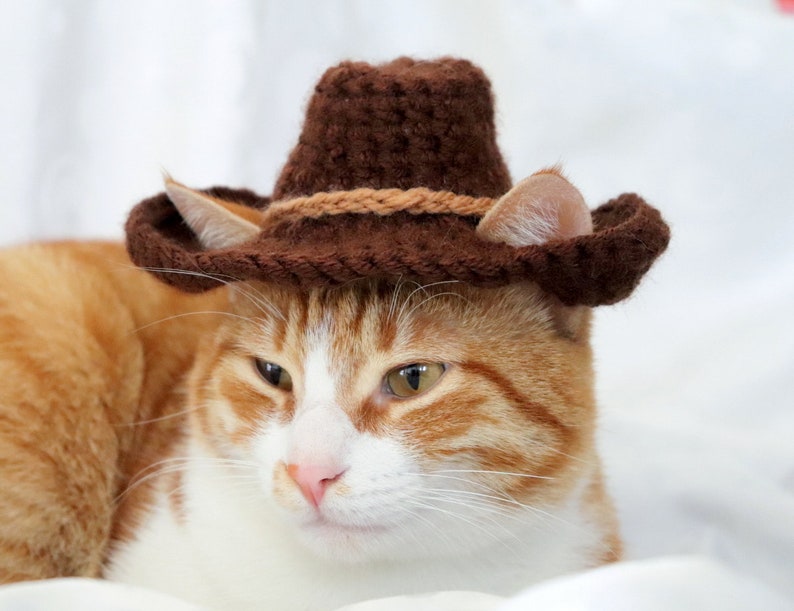 15 Creative Crochet Cat Hat Patterns for Felines (cute!) Little World