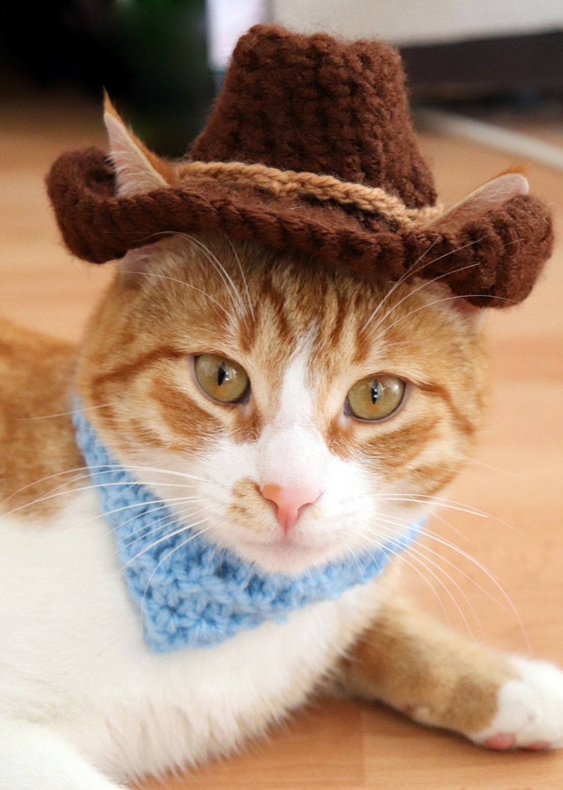 Crochet Pattern: Cowboy Hat for Cats with Ear Holes PDF | Etsy