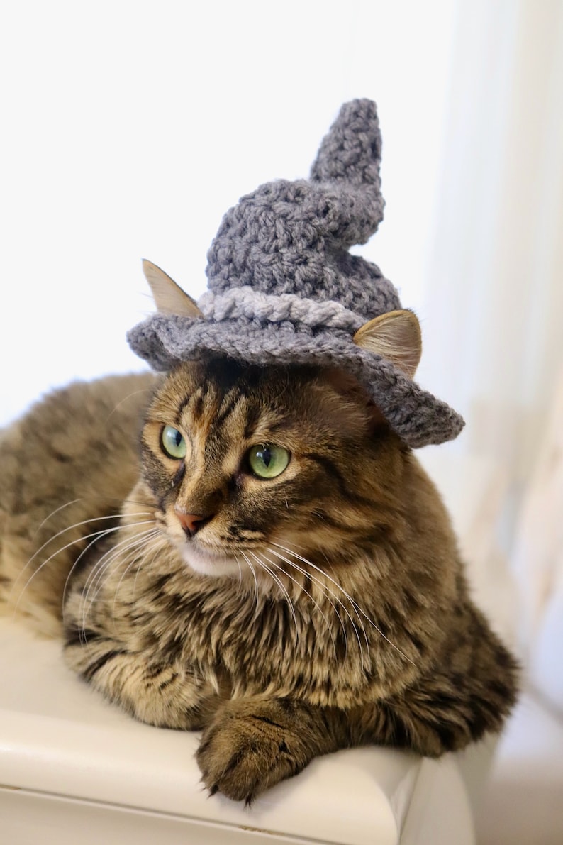 May include: A brown tabby cat wearing a gray crocheted witch hat. The cat is looking to the right of the frame.