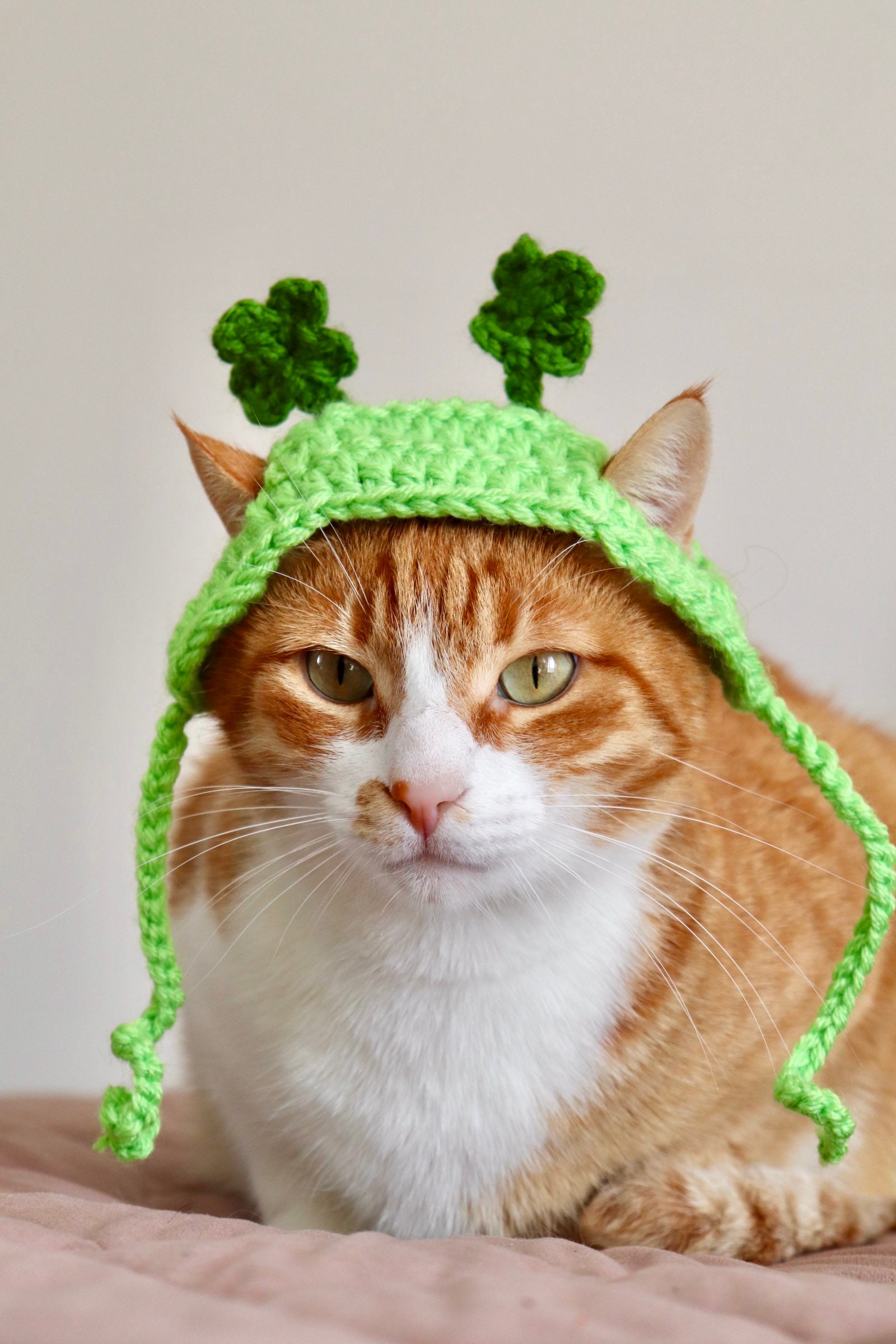 帽子 LAD MUSICIAN LOOP YARN SHAGGY CAT EAR Shamrock Headband for Cats, St. Patrick's Day Cat Accessories, Cat