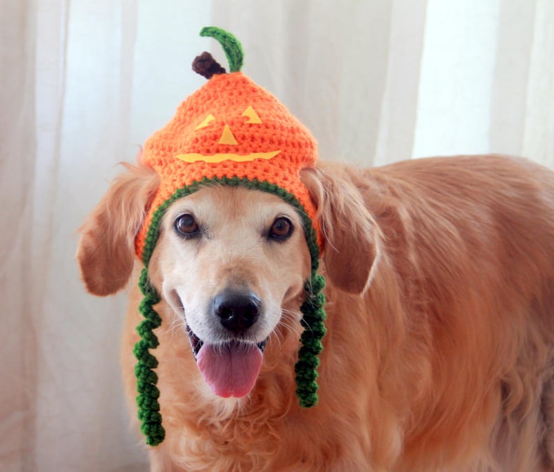 Halloween Dog Hat Jackolantern Hat for Dogs Pumpkin Dog Hat Etsy