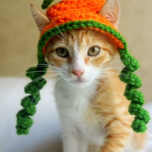 Puede incluir: Primer plano de un gato con un gorro de calabaza de ganchillo con colas de hilo verde. El gato es naranja y blanco con ojos verdes.