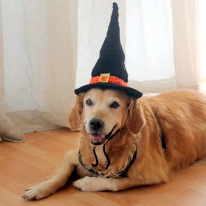 Witch Hat for Dogs, Dog Witch Hat, Halloween Hat for Dogs, Large Breed Dog Costume, Halloween Dog Hat, Witch Dog Hat image 5