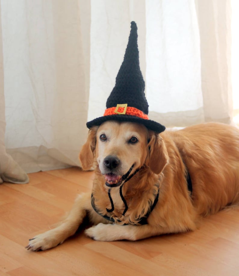 Witch Hat for Dogs, Dog Witch Hat, Halloween Hat for Dogs, Large Breed Dog Costume, Halloween Dog Hat, Witch Dog Hat image 5