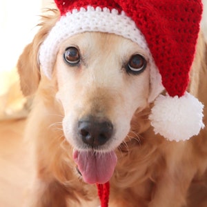 Santa dog hat with ear holes, Santa hat for large dogs Golden, Lab, Pitbull, Husky, Boxer, Christmas dog accessory image 2