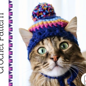 May include: A brown tabby cat wearing a colorful crocheted hat with a pom-pom on top. The hat is blue, purple, pink, and yellow. The cat is looking at the camera with a surprised expression.