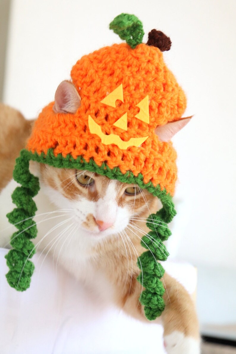 Jackolantern Cat Hat Pumpkin Cat Hat Halloween Cat Hat Etsy