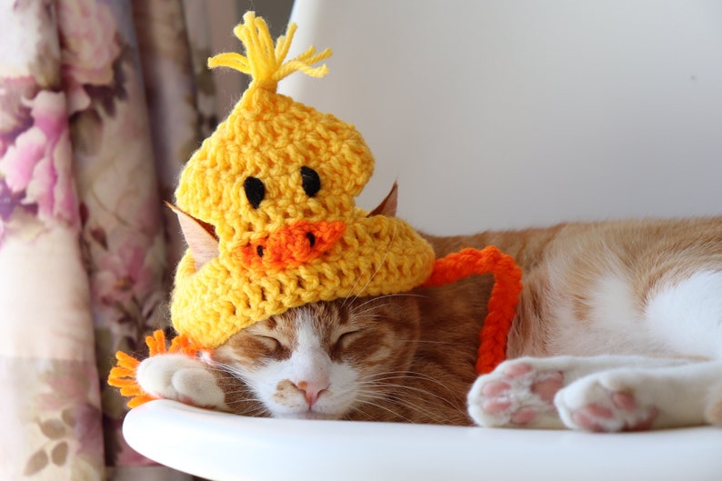 Duck Hat for Cats, Cute Yellow Ducky Cat Hat with Ear Holes, Easy Cat Halloween Costume Ideas, Funny Gift for Cat Lover, Crochet Pet Hats image 2