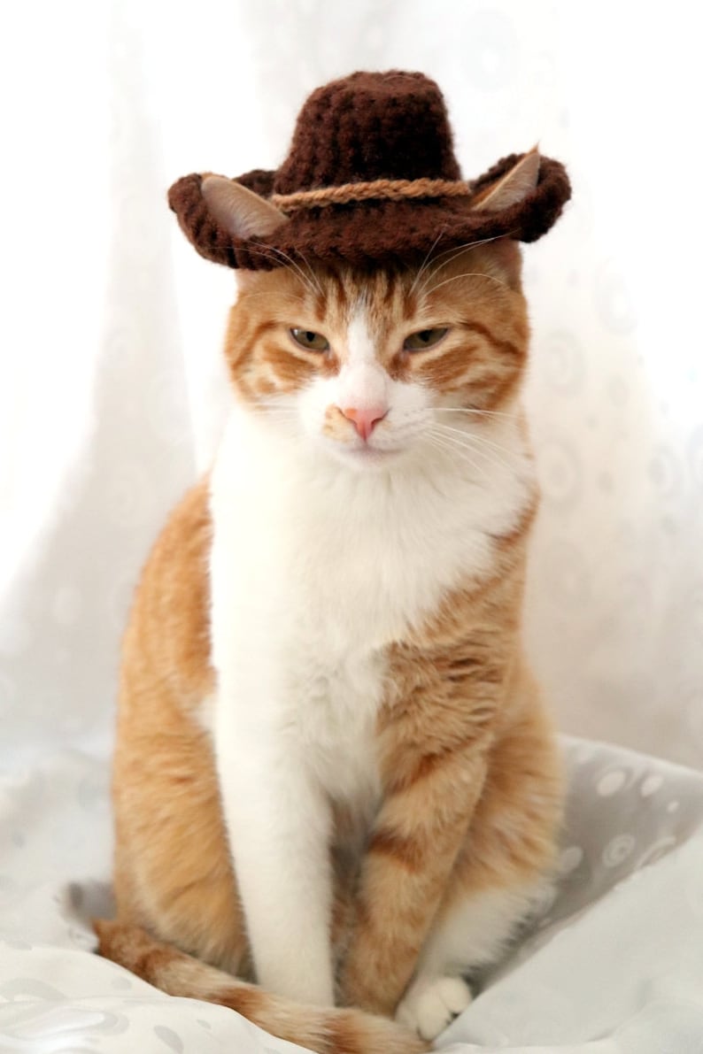 Cowboy Hat for Cats Bandana Add on Option Cowboy Halloween Etsy