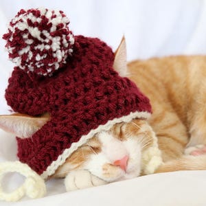 Crochet Cat Hat Pattern, Beginner Friendly Crochet Pattern for Cats, Cat Beanie Crochet Pattern, Downloadable Pattern Crochet Cat Accessory image 6