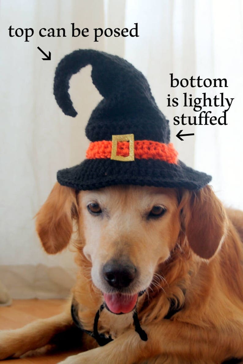 Witch Hat for Dogs, Dog Witch Hat, Halloween Hat for Dogs, Large Breed Dog Costume, Halloween Dog Hat, Witch Dog Hat image 6