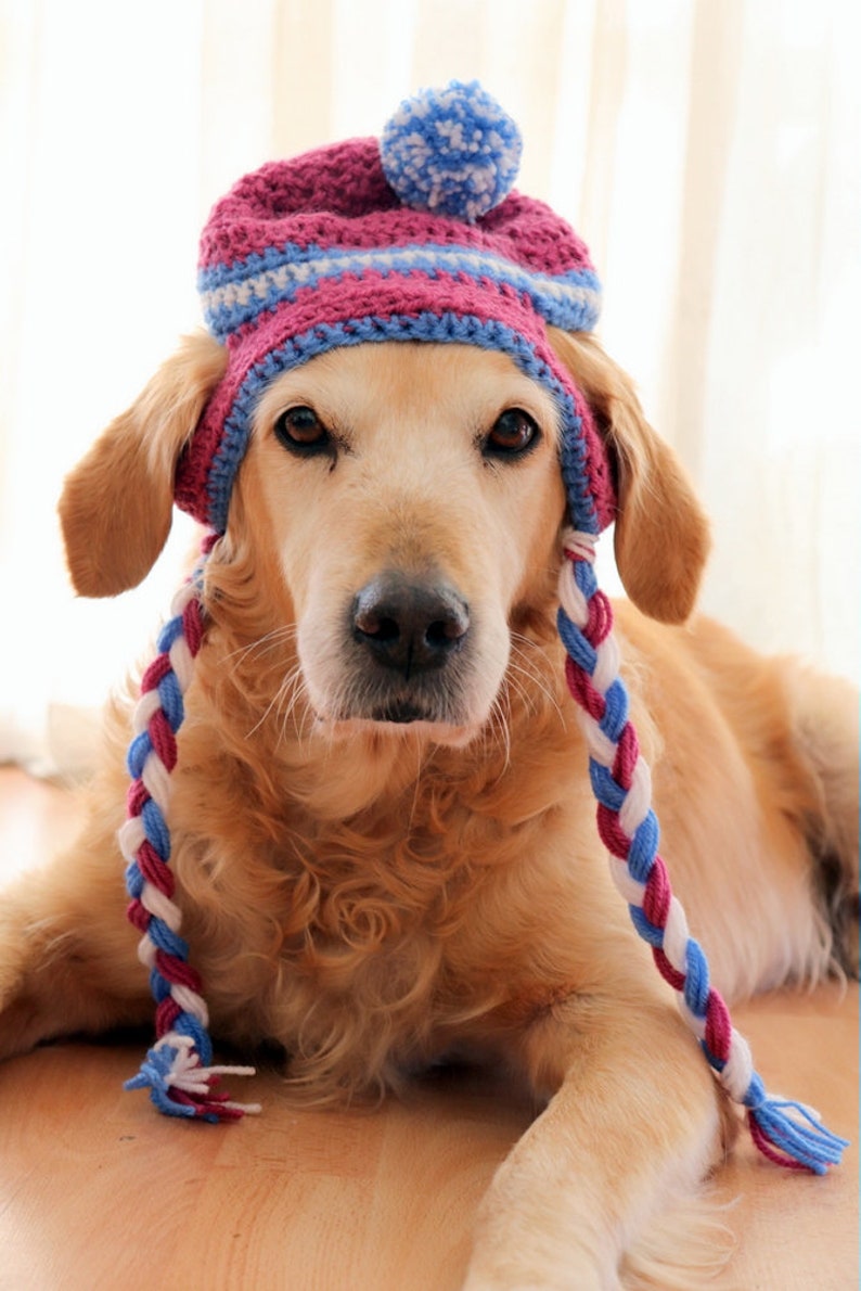 Crochet Dog Hat Pattern Crochet Beanie Hat Pattern for Large Etsy 日本
