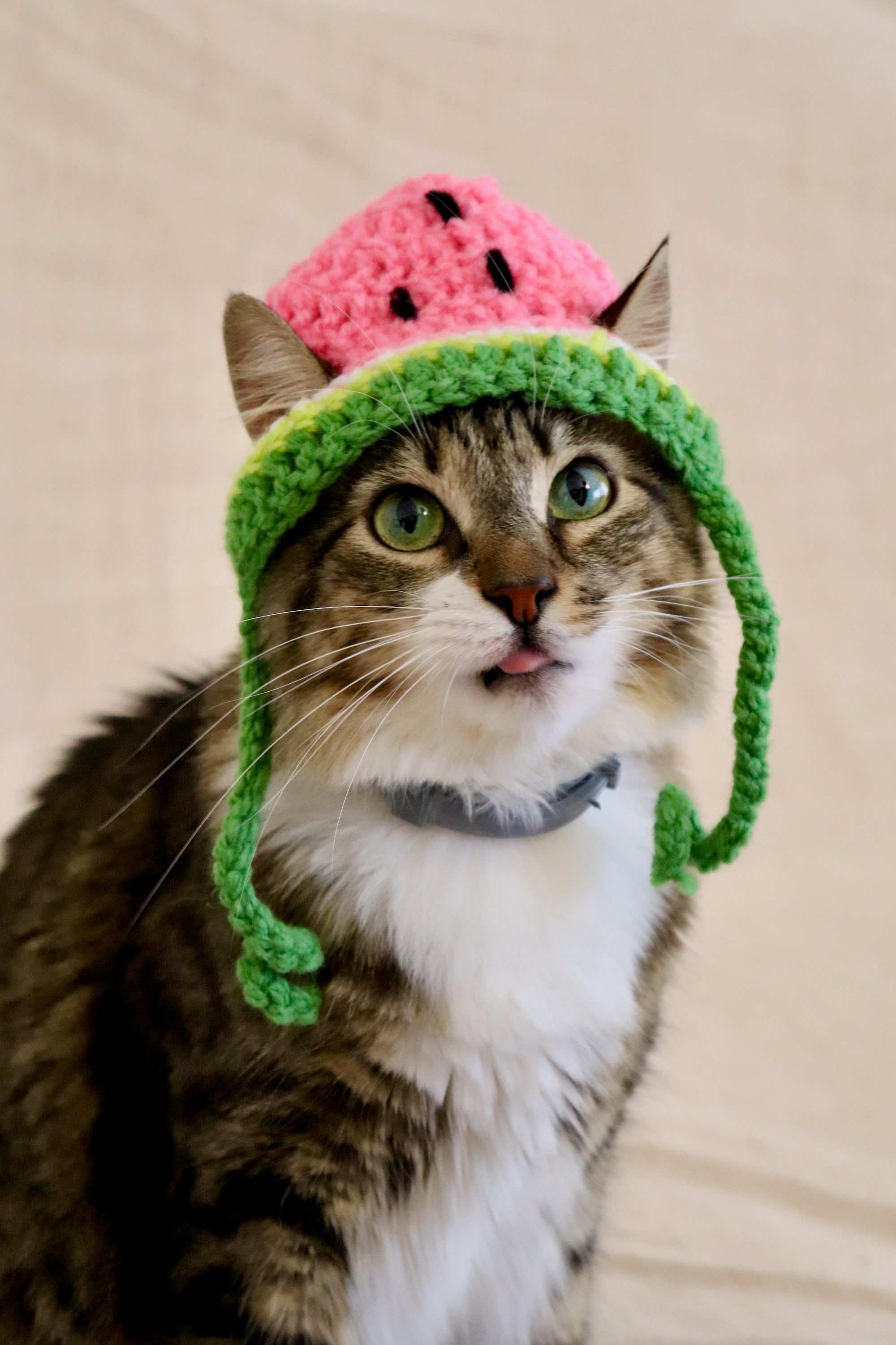 Watermelon Hat for Cats Crochet Watermelon Hat for Cats and Etsy UK