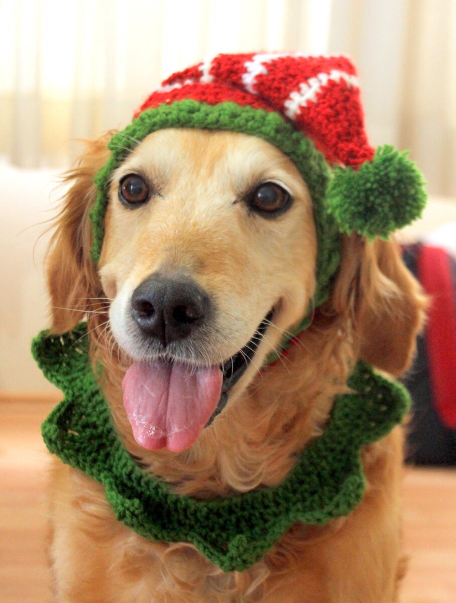 Elf Hat for Dogs Dog Elf Hat Holiday Dog Hat Christmas Hat | Etsy