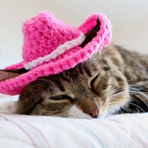 Pink Cowboy Hat for Cats, Cowgirl Cat Hat, Cute Halloween Costume for Cats, Small Cowboy hat for Pets, Feline Texas Country Western Cat Hat image 2