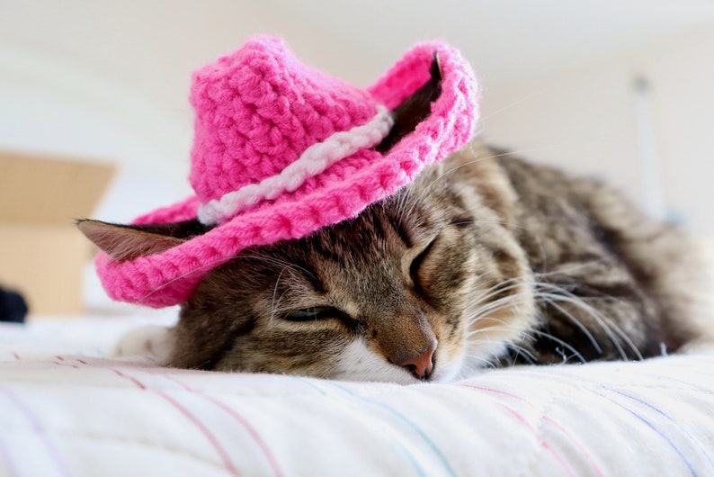 Pink Cowboy Hat for Cats, Cowgirl Cat Hat, Cute Halloween Costume for Cats, Small Cowboy hat for Pets, Feline Texas Country Western Cat Hat image 2