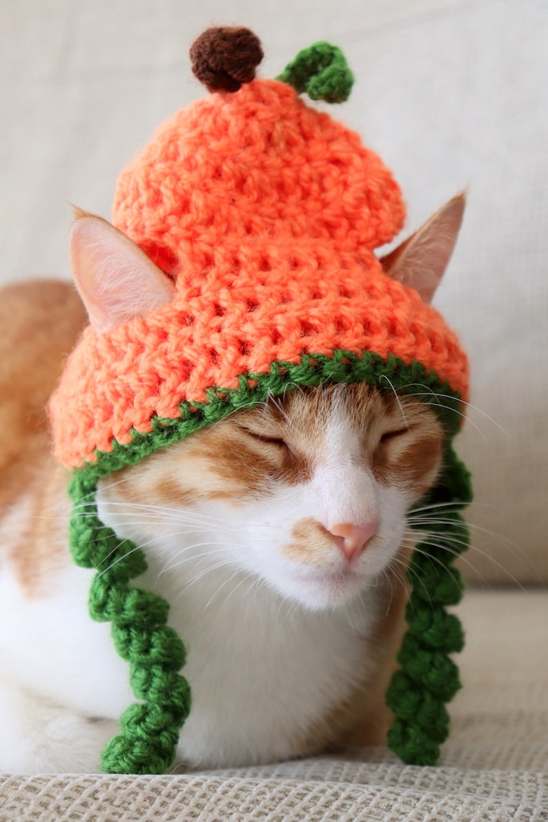 Crochet Pumpkin Hat Pattern for Cats Extra Small Dogs, Jackolantern Cat Hat Crochet Pattern, Halloween / Fall Crochet Pattern for Pets image 8