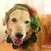 Elf Collar for Dogs Elf Collar Cover Holiday Dog Costume - Etsy