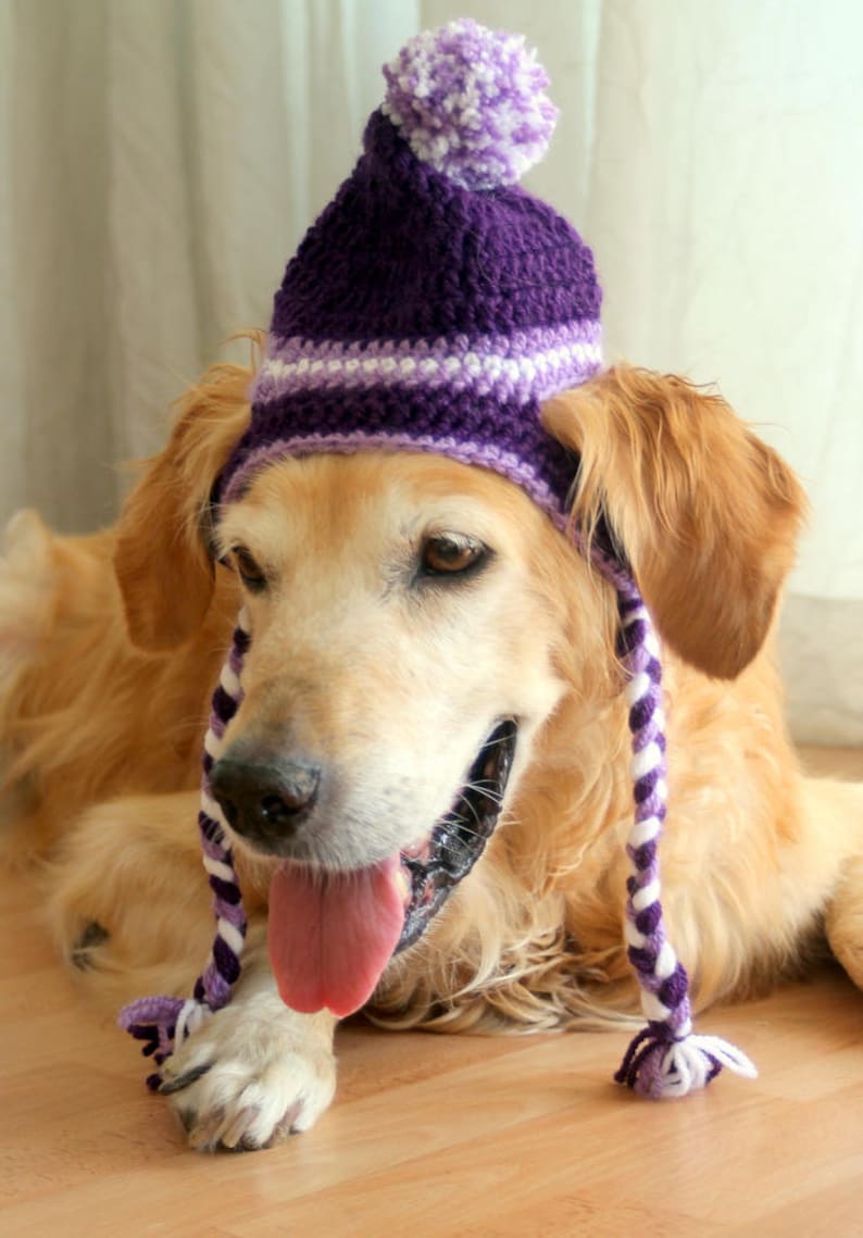 Pom pom hat for dogs Clearance