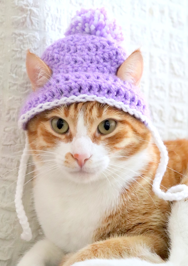 Crochet Cat Hat Pattern, Beginner Friendly Crochet Pattern for Cats, Cat Beanie Crochet Pattern, Downloadable Pattern Crochet Cat Accessory image 4