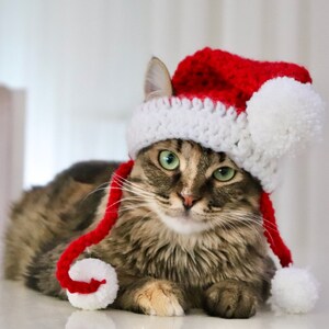 Santa Hat for Cats, Cat Santa Hat, Holiday Cat Hat, Christmas Hat for Cats and Kittens, Christmas Cat Hat, Santa Cat Hat image 7