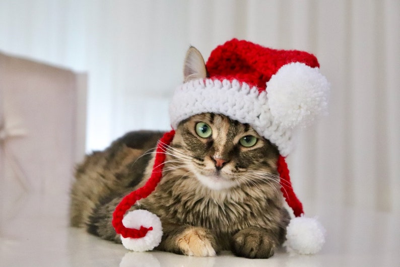 Santa Hat for Cats, Cat Santa Hat, Holiday Cat Hat, Christmas Hat for Cats and Kittens, Christmas Cat Hat, Santa Cat Hat image 7