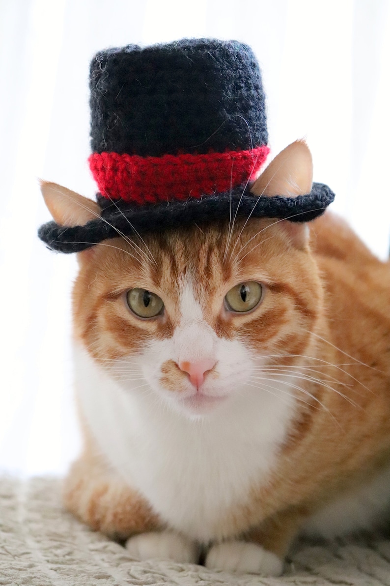 Top Hat for Cats Cat Wedding Apparel Cat Formal Wear Feline Etsy