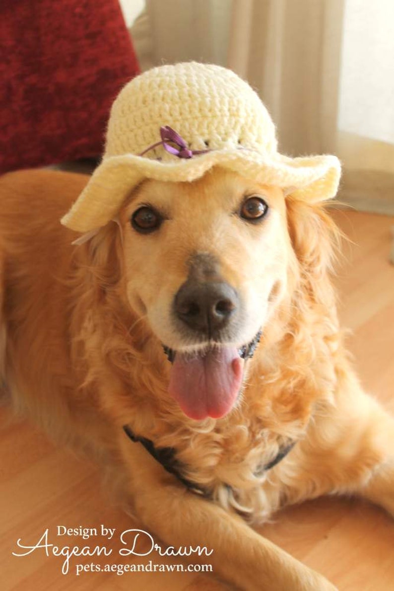 Summer Hat for Dogs Sun Hat Dog Hat Summer Dog Accessories Etsy