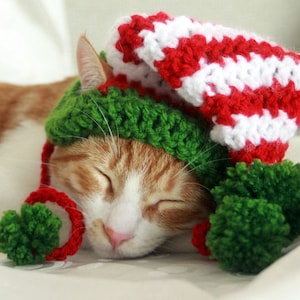 Elf Hat for Cats Cat Elf Hat Holiday Cat Hat Christmas Hat - Etsy
