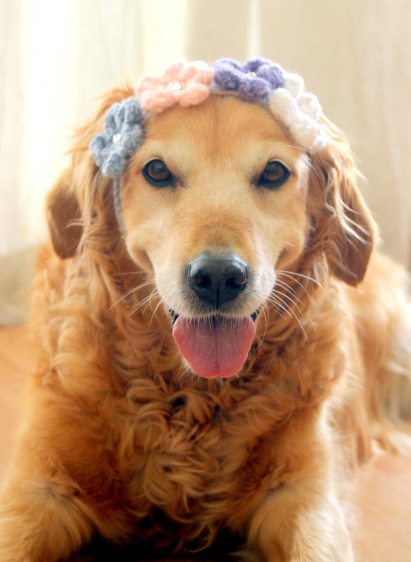 Dog Flower Headband Dog Flower Collar Dog Flower Necklace | Etsy