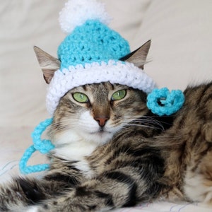 Hut für Katzen, 2 Farbe häkeln Pom Pom Hut für Katzen und Hunde kleiner Rassen, Feline Accessoires für den Winter, süße Katze Foto Requisite Bild 6