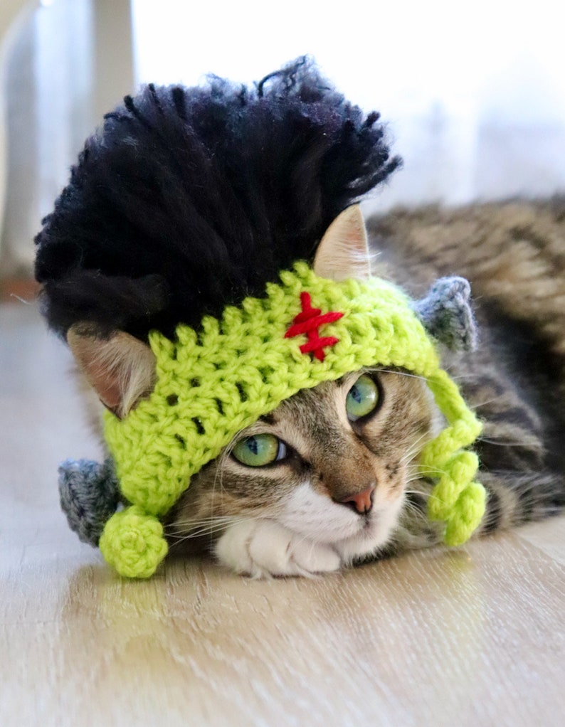 Frankenstein Cat Hat, Frankenstein Hat for Pets, Halloween Cat Hat, Halloween Hat for Cats, Cat Monster Hat, Frankenstein Hat for Small Dogs Adult Cat - XS Dog