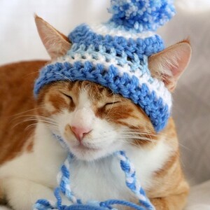 May include: A ginger and white cat wearing a blue and white crocheted hat with a pom-pom. The cat has its eyes closed and a blue and white yarn tie under its chin. The hat is a light blue and white color.