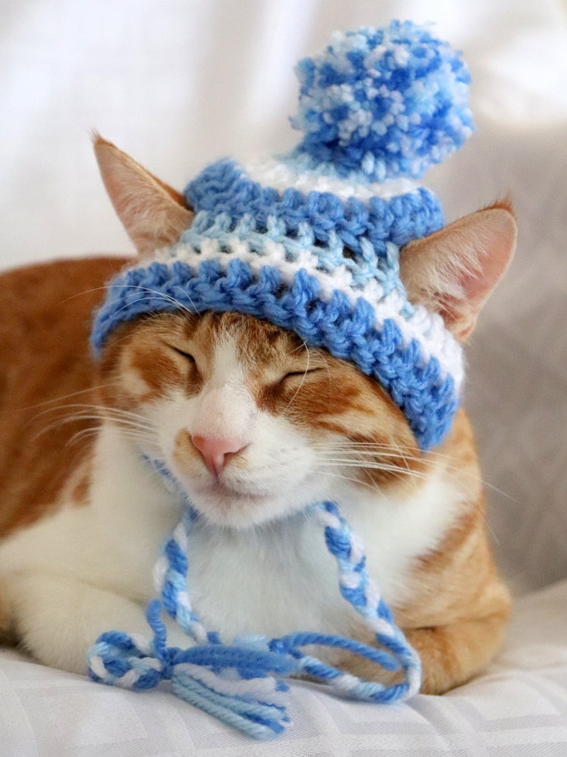 May include: A ginger and white cat wearing a blue and white crocheted hat with a pom-pom. The cat has its eyes closed and a blue and white yarn tie under its chin. The hat is a light blue and white color.