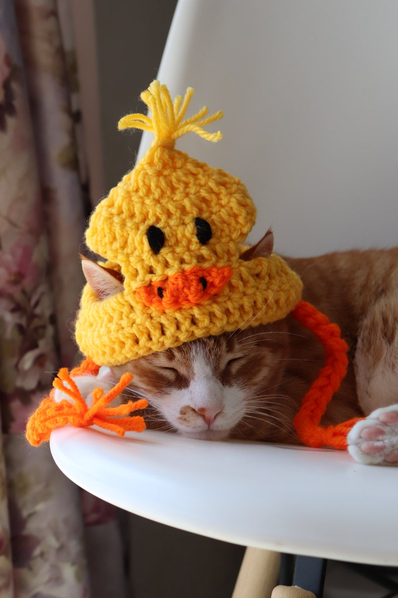 Duck Hat for Cats, Cute Yellow Ducky Cat Hat with Ear Holes, Easy Cat Halloween Costume Ideas, Funny Gift for Cat Lover, Crochet Pet Hats image 3