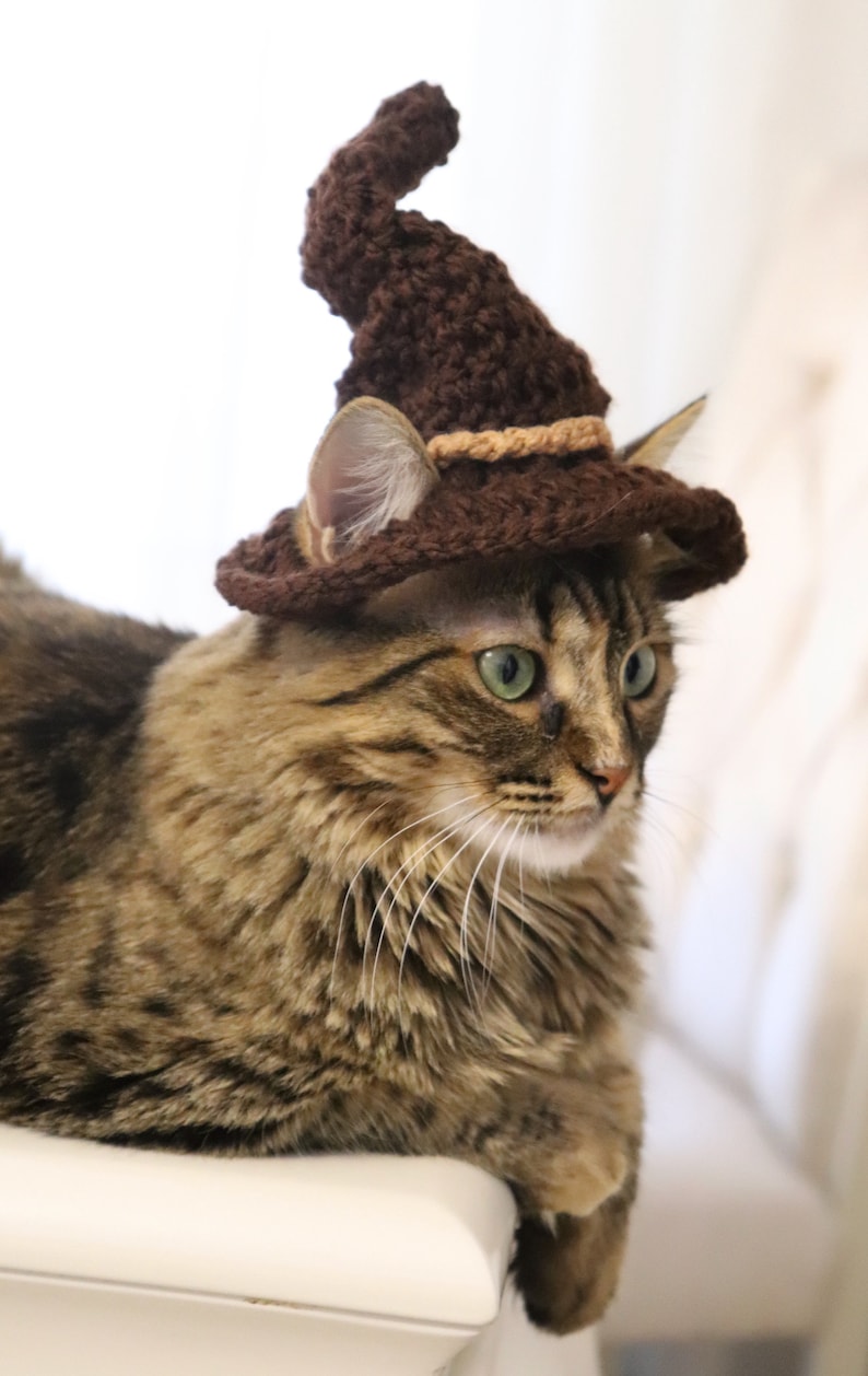 May include: A brown and tan crocheted wizard hat with a pointed top sits on the head of a brown tabby cat. The cat is looking to the right of the frame.