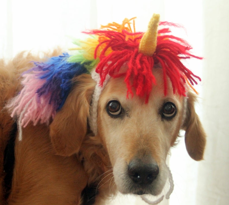 Unicorn Costume for Dogs, Unicorn Mane and Horn for Large Breed Dogs, Halloween Costumes for Pets, Unicorn Dog Hat, Funny Dog Accessories image 1