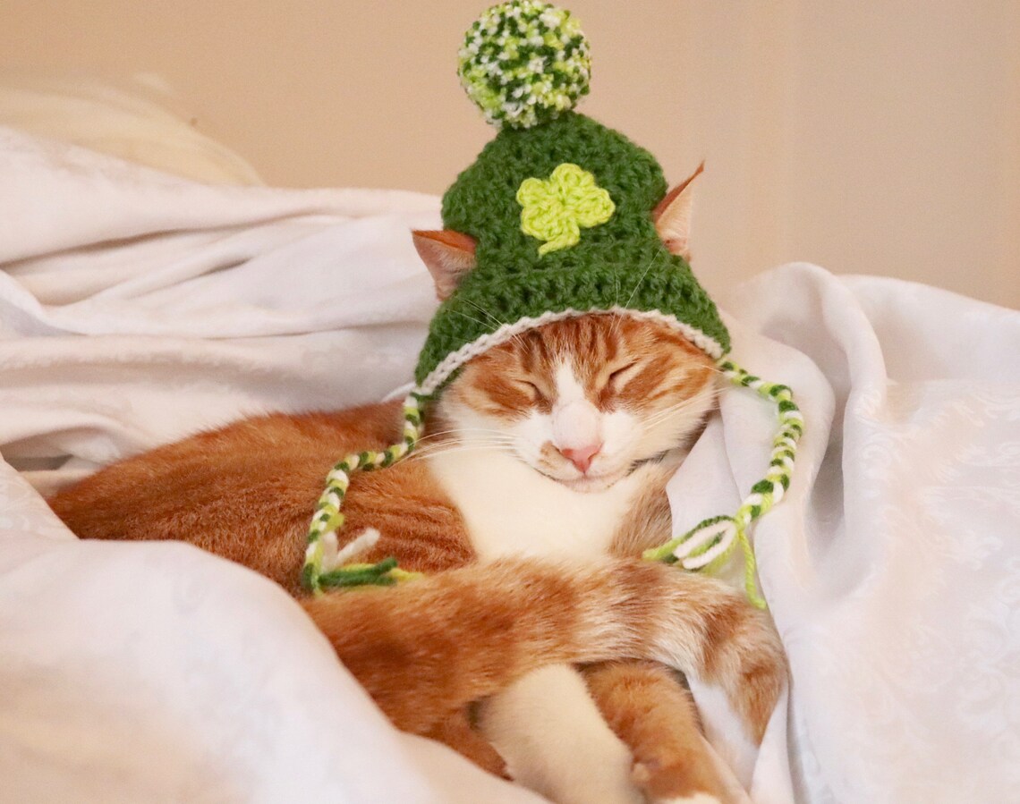 saint pattys day beanie baby