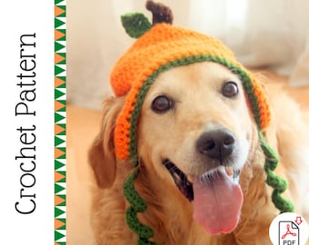 Crochet Pattern: Pumpkin Hat for Large Dogs, Halloween Jack-o-lantern Hat Pattern, Thanksgiving Pumpkin Dog Hat PDF for Digital Download