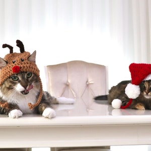 Santa Hat for Cats, Cat Santa Hat, Holiday Cat Hat, Christmas Hat for Cats and Kittens, Christmas Cat Hat, Santa Cat Hat image 8