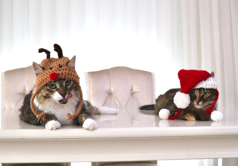 Santa Hat for Cats, Cat Santa Hat, Holiday Cat Hat, Christmas Hat for Cats and Kittens, Christmas Cat Hat, Santa Cat Hat image 8