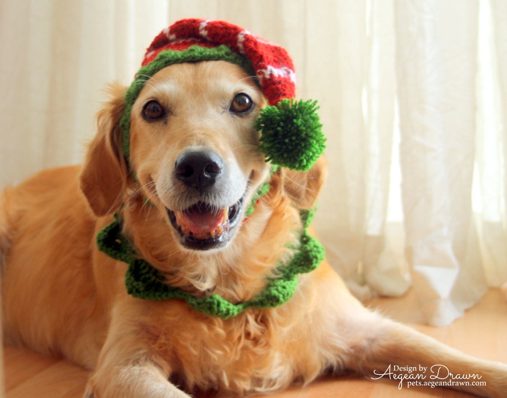 Dog elf hat sales