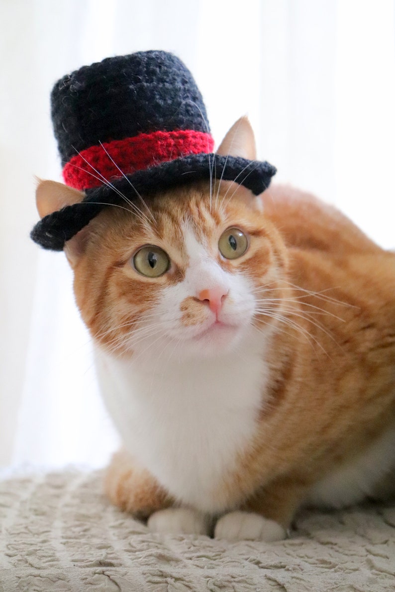 Crochet Pattern: Top Hat for Cats, Crochet Top Hat Pattern with Ear Holes for Cats / XS Dog Breeds, New Years Crochet Pattern for Pets image 5