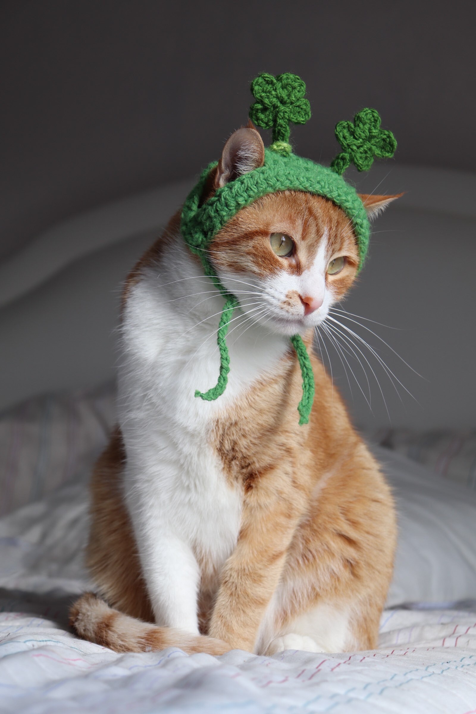 Shamrock Headband for Cats, St. Patrick's Day Cat Accessories, Cat