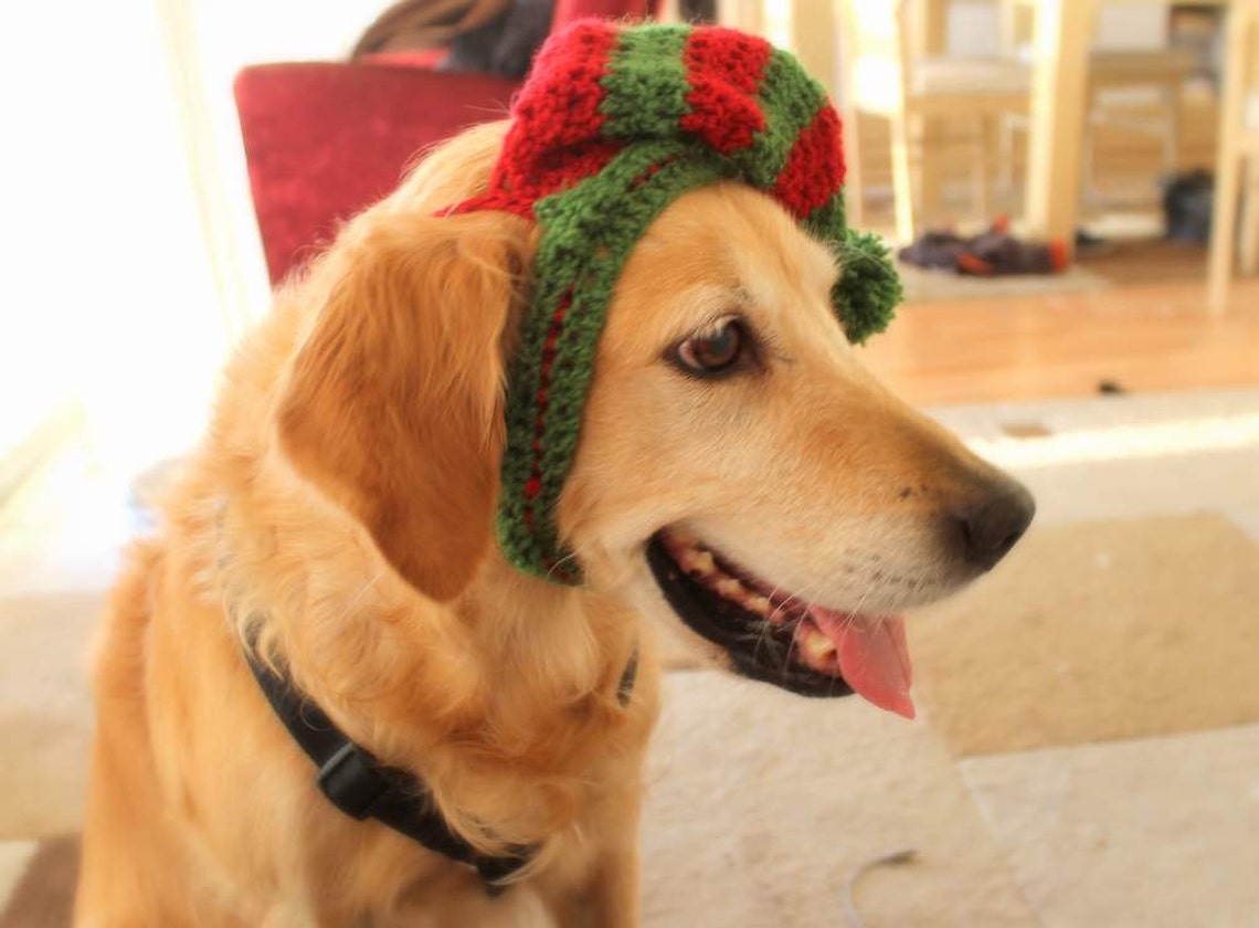 Santa's Helper Dog Hat Elf Hat for Dogs Dog Elf Hat Etsy