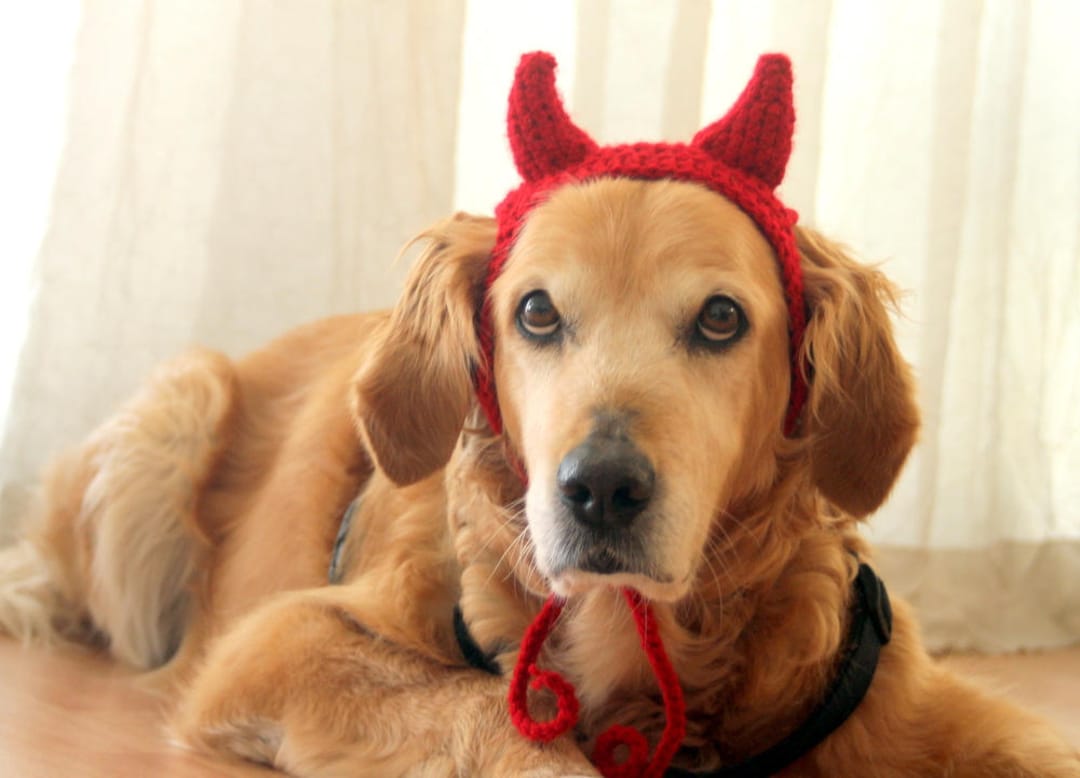 Devil Dog Costume, Devil Horns for Large Breed Dogs, Red Devil Dog Hat