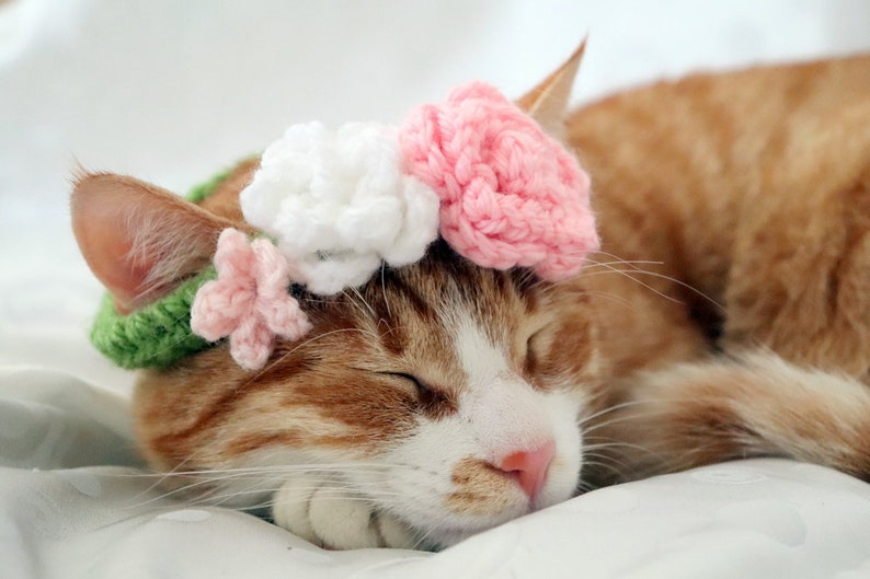Cat Flower Crown PDF Crochet Pattern, 2-in-1 Flower Collar or Crown for Cats, Summer Crochet for Pets, Crochet Flower Pattern with Video image 8