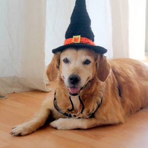 Witch Hat for Dogs, Dog Witch Hat, Halloween Hat for Dogs, Large Breed Dog Costume, Halloween Dog Hat, Witch Dog Hat image 8