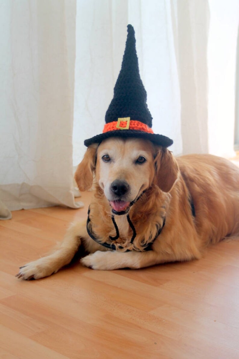 Witch Hat for Dogs, Dog Witch Hat, Halloween Hat for Dogs, Large Breed Dog Costume, Halloween Dog Hat, Witch Dog Hat image 8
