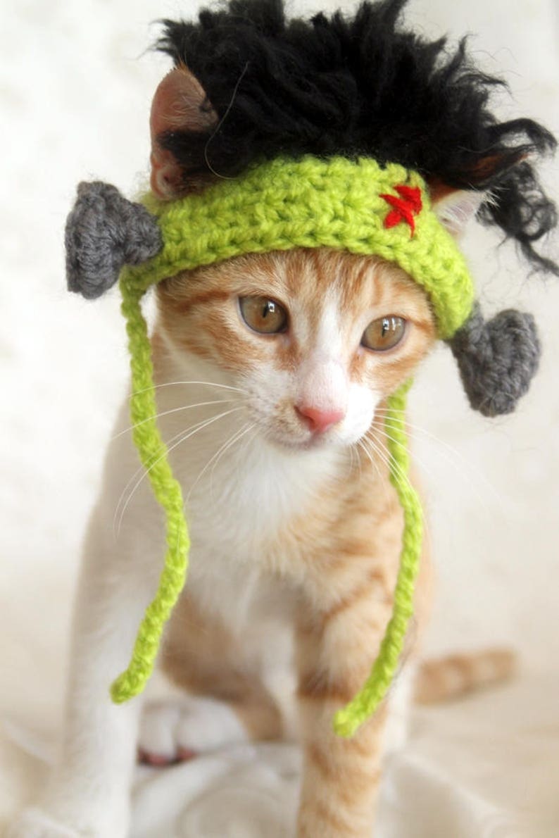 Frankenstein Cat Hat, Frankenstein Hat for Pets, Halloween Cat Hat, Halloween Hat for Cats, Cat Monster Hat, Frankenstein Hat for Small Dogs image 5